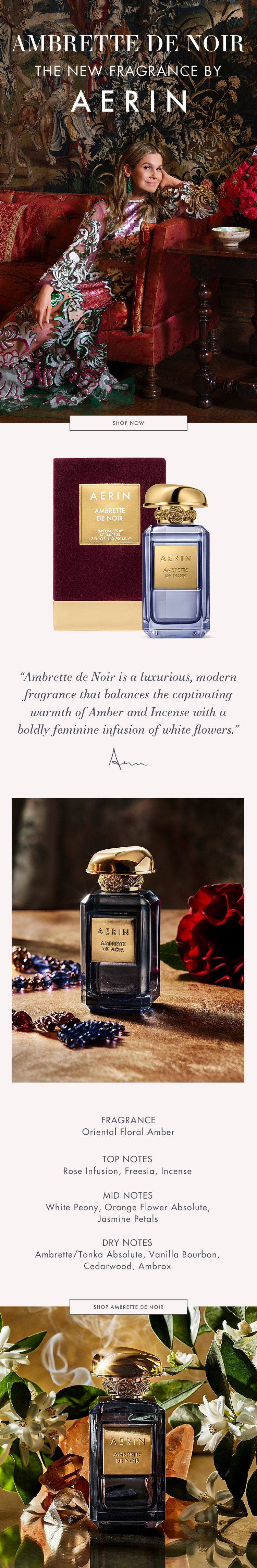 aerin ambrette noir