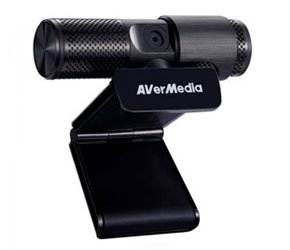 Avermedia Webcam USB Live Streamer 313