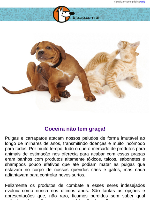 Essa coceirinha é pulga, carrapato ou sarna?
