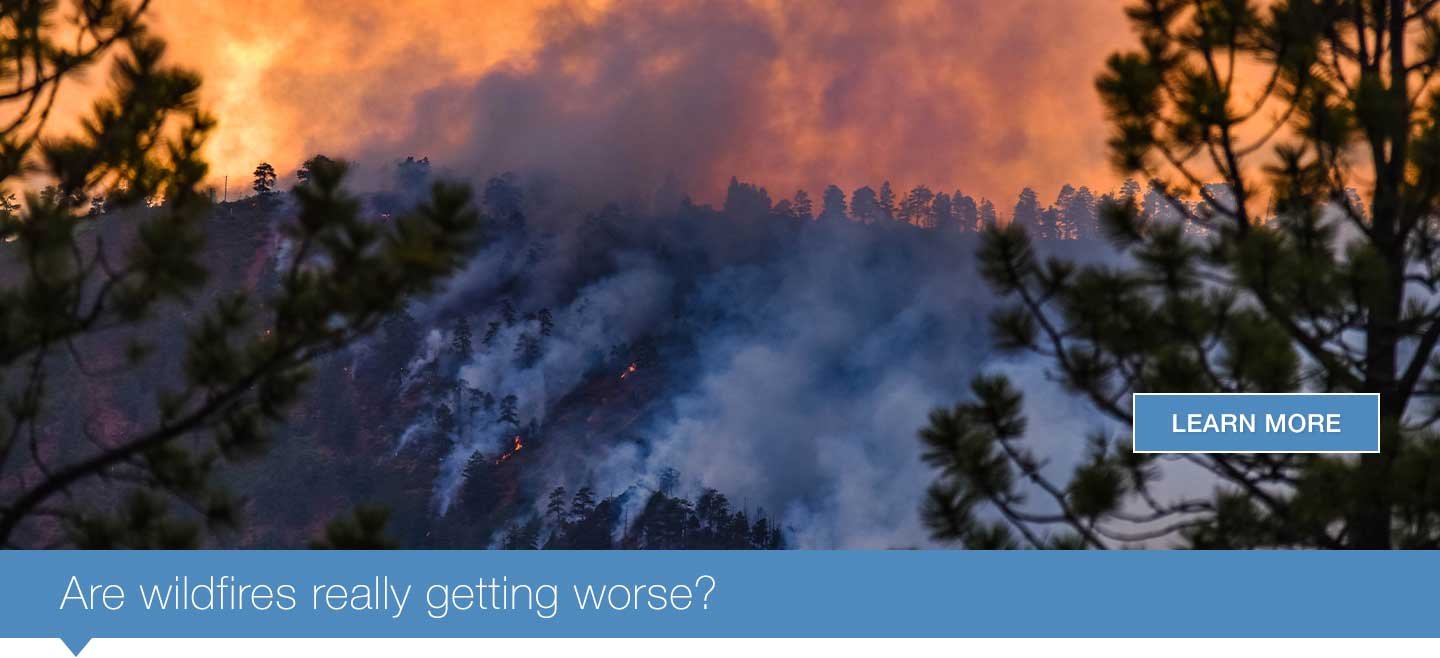 Are wildfires really getting worse?