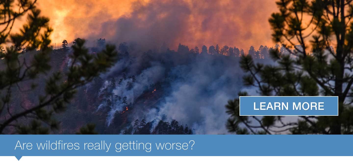 Are wildfires really getting worse?