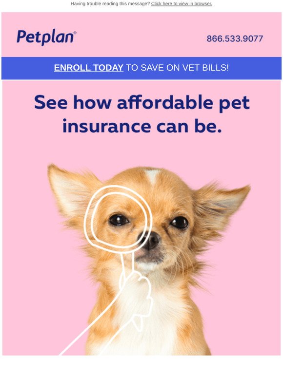 How much does pet insurance cost?