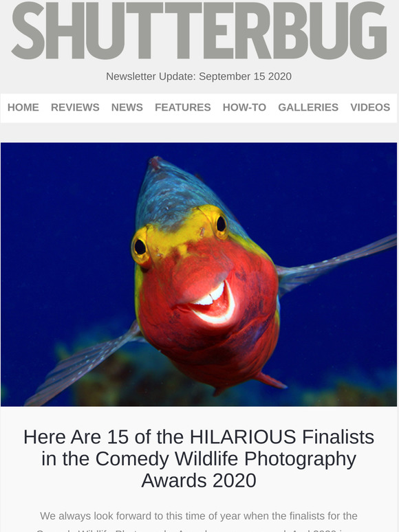 Shutterbug Newsletter: Comedy Wildlife Photo Finalists; How to Photograph Non-Models; Final Summer Sweepstakes!