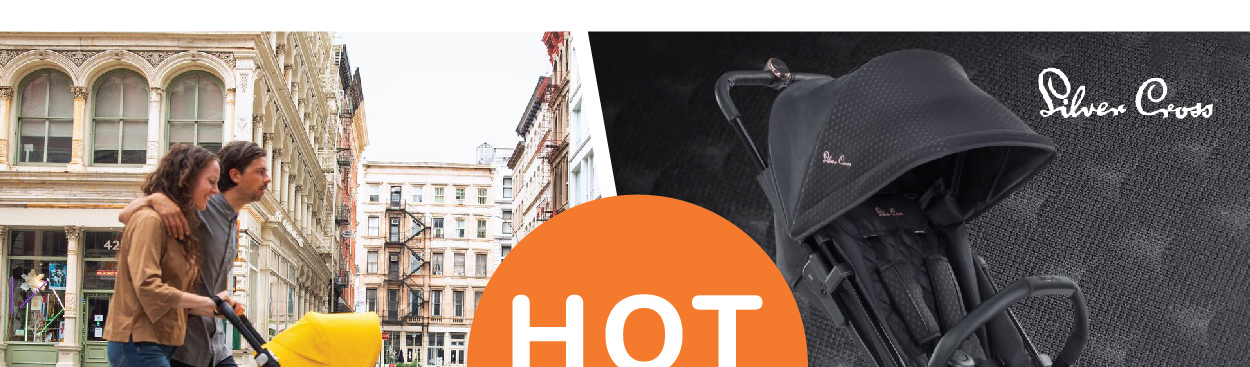 bugaboo silver cross