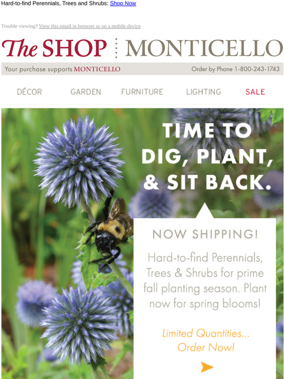 🌿 Start Digging! Fall Plants Shipping Now