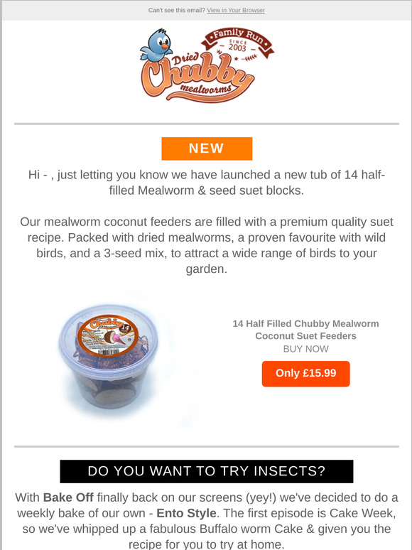 Hedgehog Competition | NEW Coconut Tubs | Bake Off - With insects?