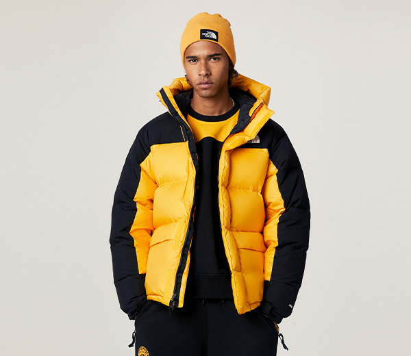 hmlyn down parka north face