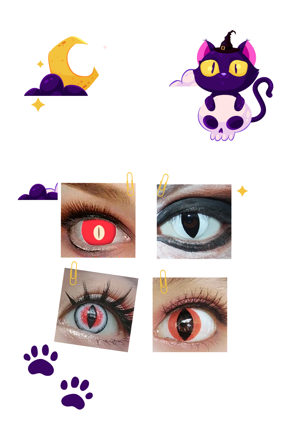 49 Top Images Cat Eye Contacts Cheap - Caturday The Ulimate Cat Lady Accessory Cat Eye Contacts Beaumiroir