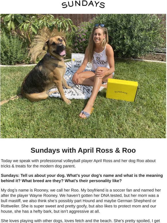 ross dog boxes