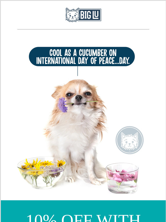 10% OFF All Day for International Day of Peace!