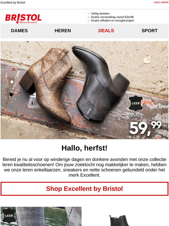 Ann Demeulemeester Bristol enkellaarzen met ronde hak Zilver - Schoenen.nl