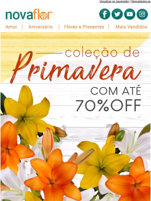 Confira a nossa coleÃ§Ã£o da estaÃ§Ã£o mais colorida do ano ï»¿ðï»¿ð»