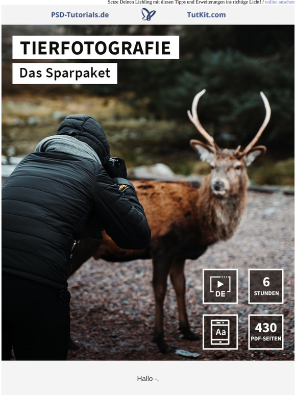 🐱 Bühne frei für Dein Haustier 🐶