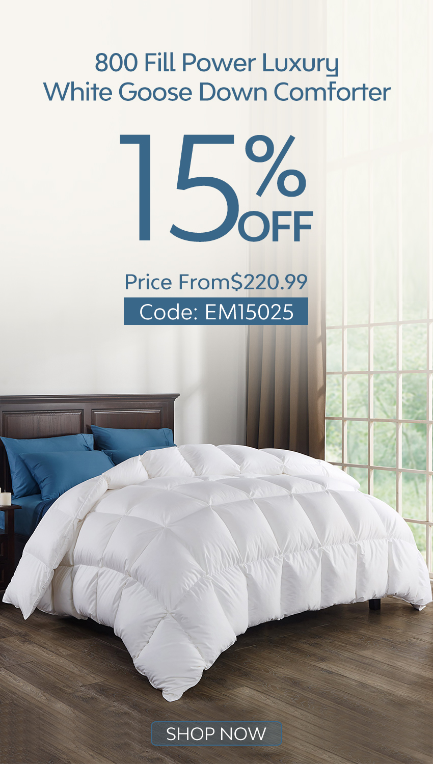 800 fill power down comforter