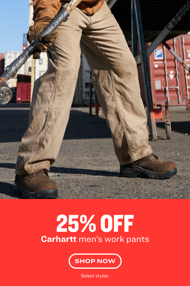 academy carhartt pants