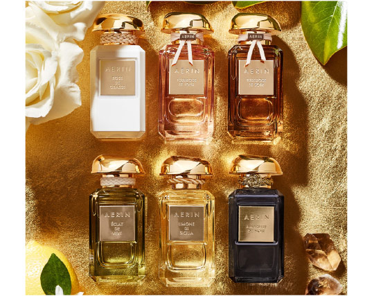 aerin premier collection