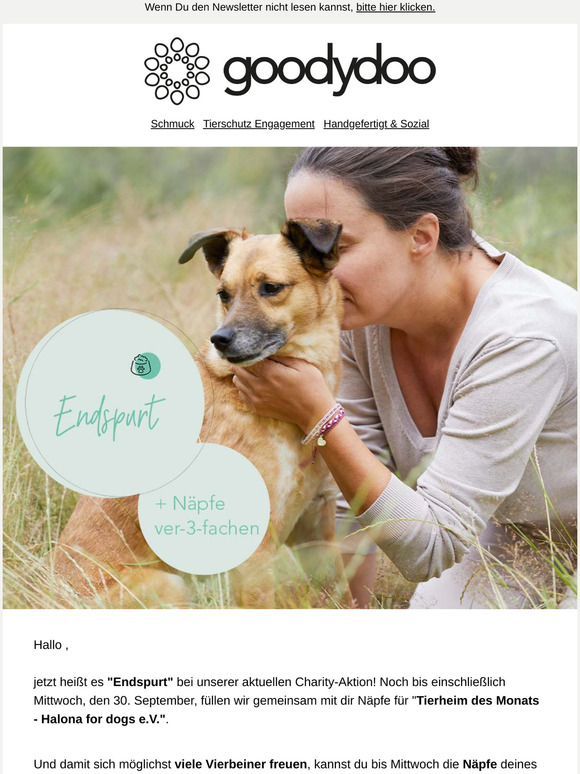 Endspurt "Tierheim des Monats September"