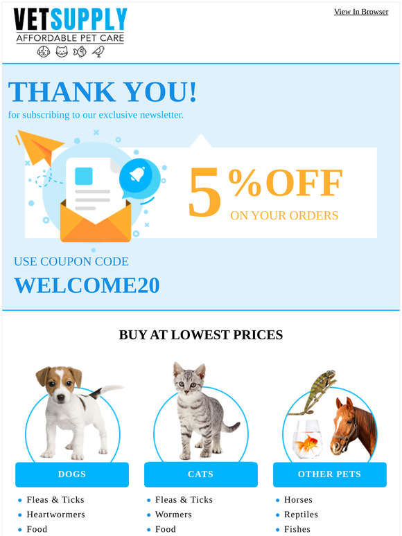 Thank You for Subscribing!