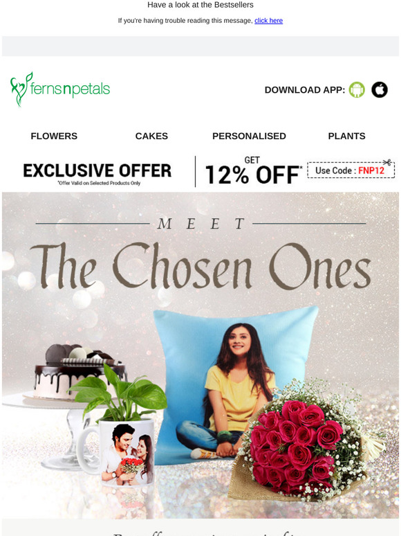 Ferns N Petals Showcasing All Time Favourites Milled