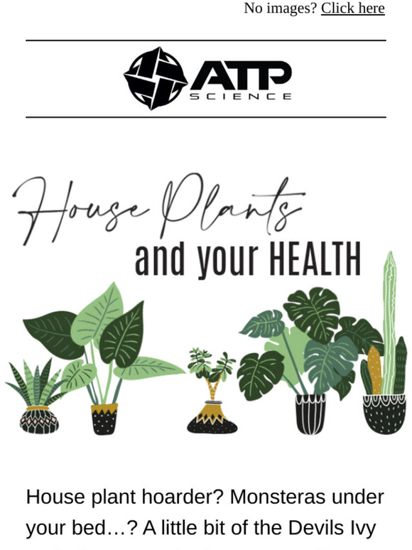 Are House Plants Creeping on your Health...🌵🌿