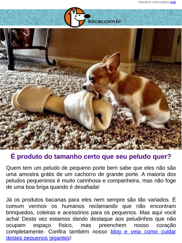 Cachorro pequeno precisa de produto especial?