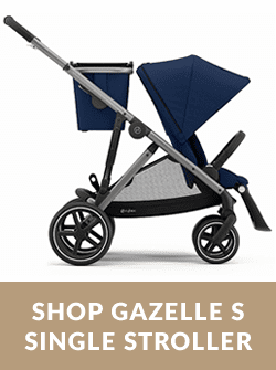 infant gazelles sale