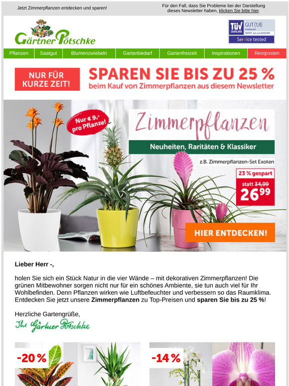 🏡 Neue grüne Mitbewohner zu Top-Preisen!