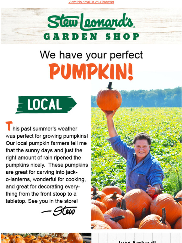 Stew Leonard's Gift Baskets Everything 🎃 Milled