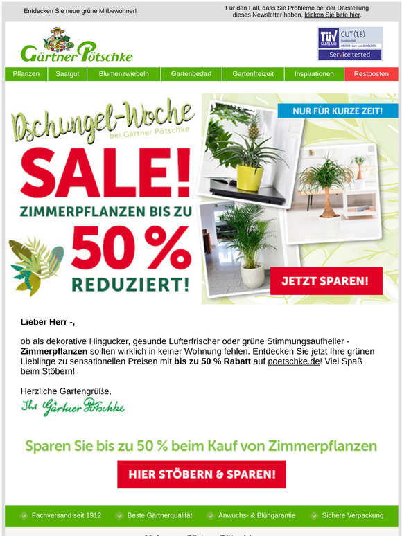 🚨 Jetzt bis zu 50 % bei Zimmerpflanzen sparen!