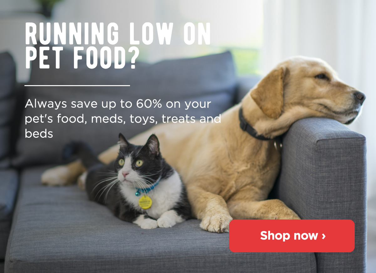 monster pets dog food