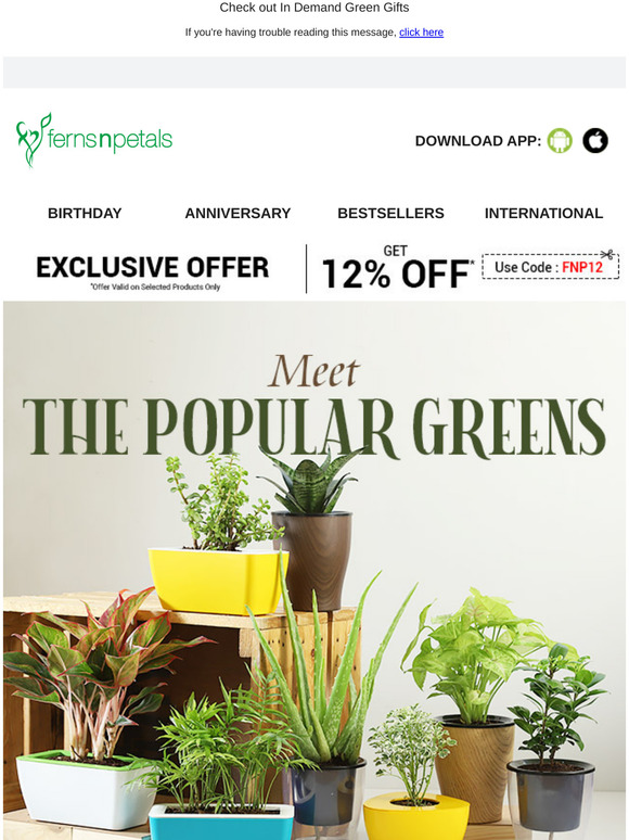 Ferns N Petals Most POPULAR Plants ☘️ Milled