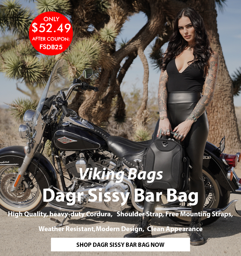 viking dagr sissy bar bag