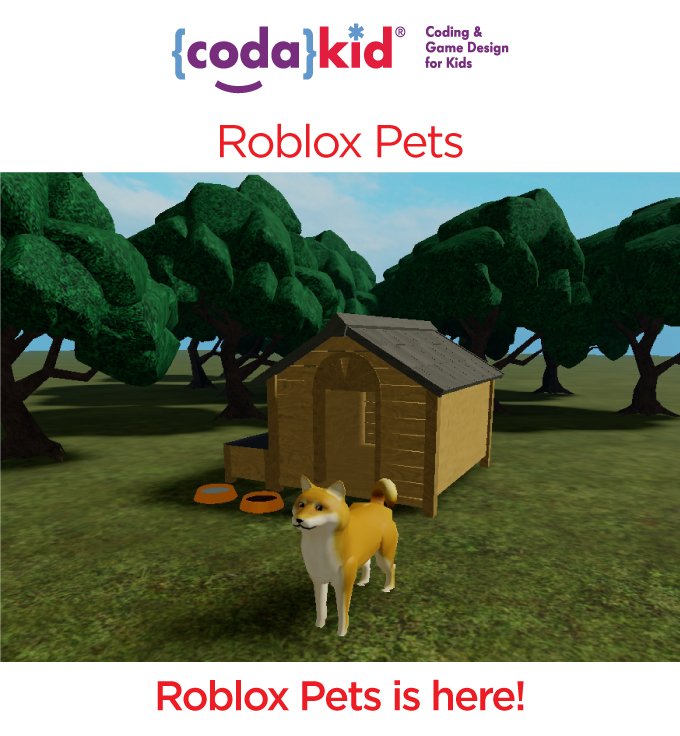 Codakid Announcing Roblox Pets Course Has Released Milled - roblox games using pets