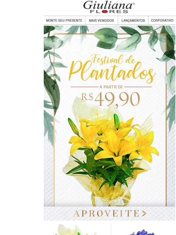 Nossos Plantados esperam por você! 🌱