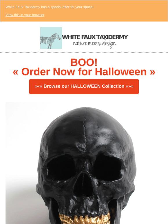 😱 On-Trend Halloween Decor | Skulls, Snakes & More!