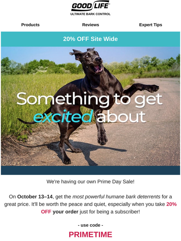 ultimate bark control reviews