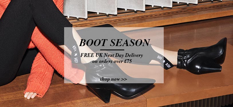 boots next day delivery