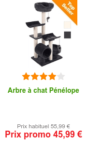 Zooplus Be 10 De Reduction Sur Tous Les Arbres A Chat Et Les Griffoirs Milled