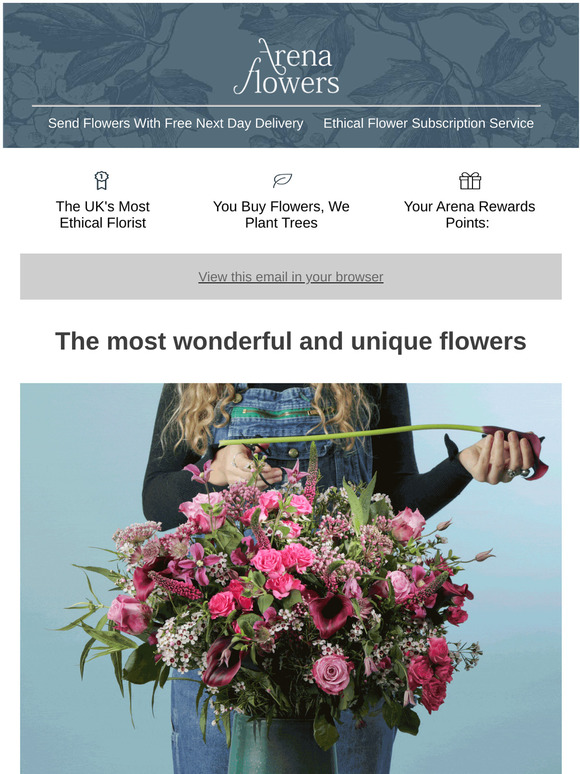 Arena Flowers The most wonderful and unique flowers 💐 Milled