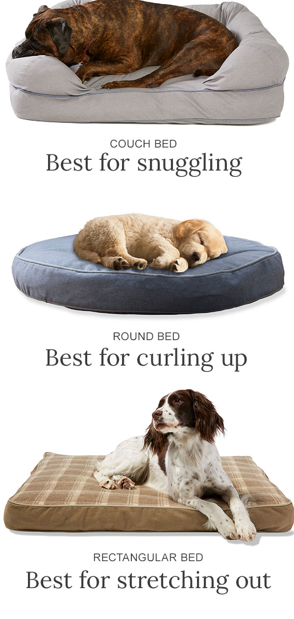 personalised dog mat