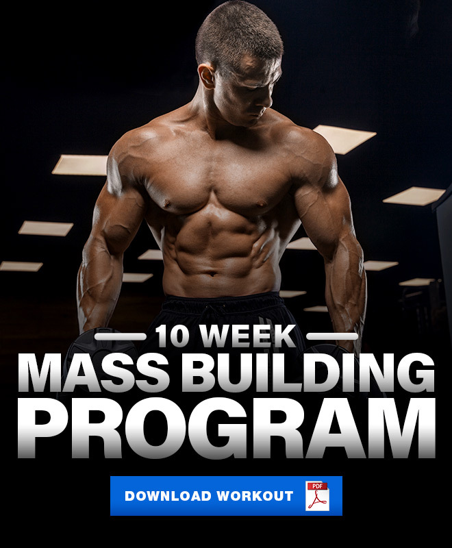 bodybuilding program for mass