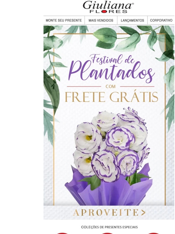 Plantados com Frete GRÁTIS te esperam 🌱❤️