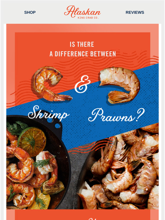 Alaskan King Crab Co. Shrimp vs. Prawns What's the Difference? Milled