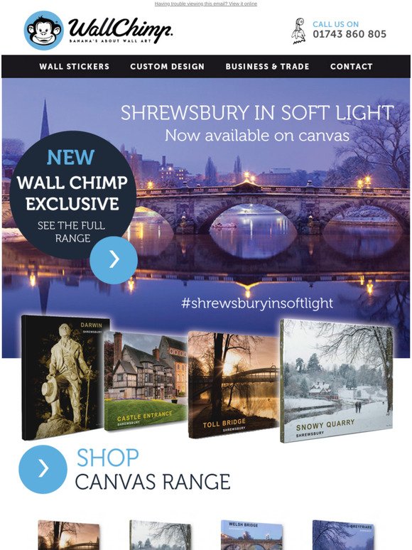 Shrewsbury In Soft Light Wall Canvases