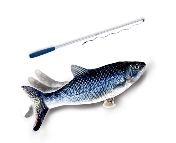 flippity fish cat toy asda