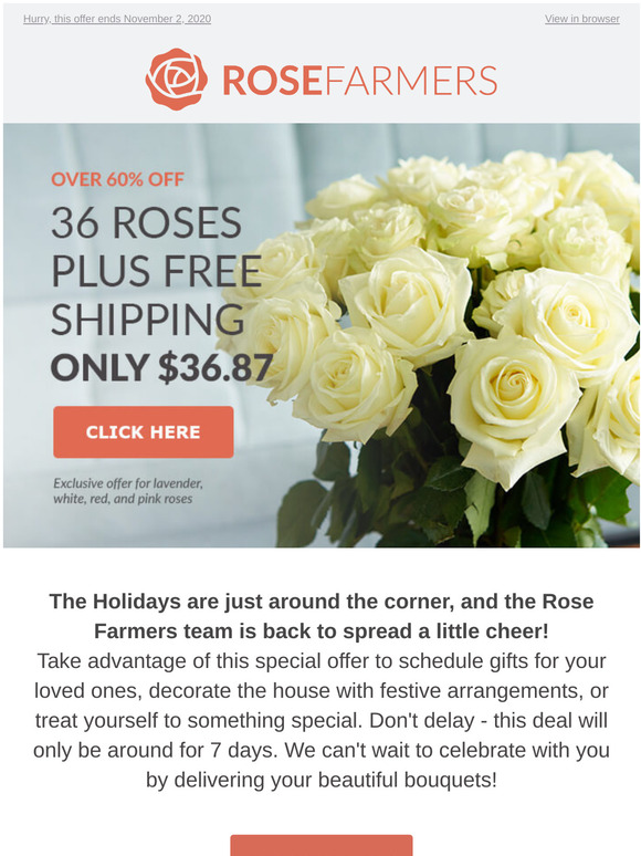Rose Farmers 🌹 36 Roses Plus Free Shipping For 36.87🌹 Rose Farmers