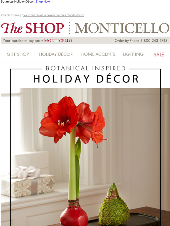 Holiday Decorating with Botanicals 🌿
