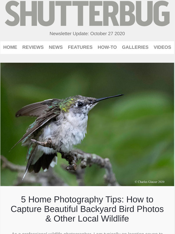 Shutterbug Newsletter: 5 Backyard Bird Photography Tips; Nikon 180-400mm Lens Review; 10 Home Photography Tricks
