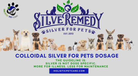colloidal silver dosage for dogs