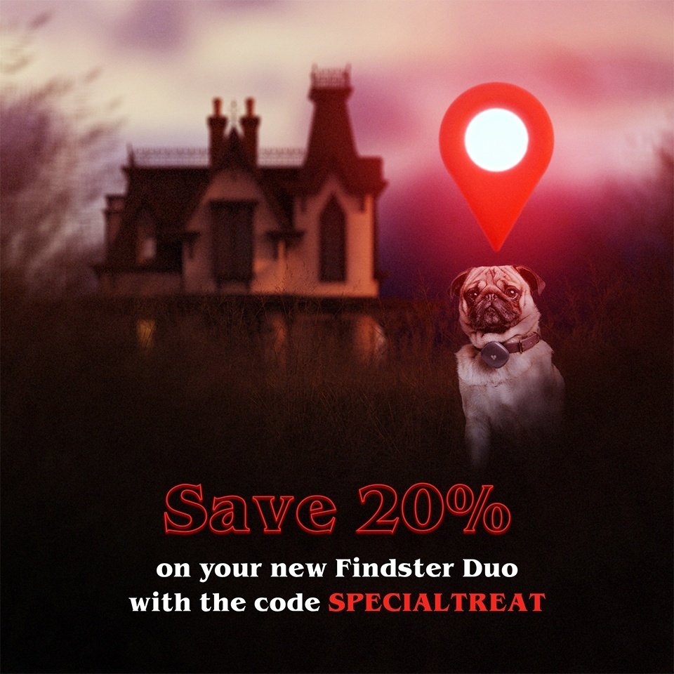 findster halloween  campaign